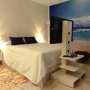 Pardelo Costa Adeje (Tenerife)